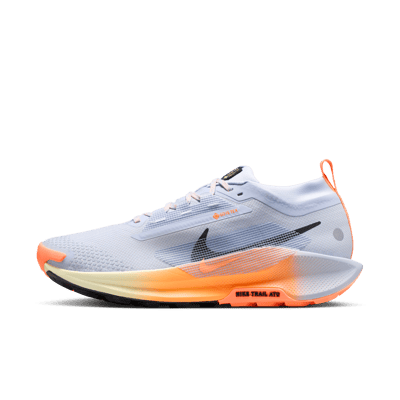 Nike Pegasus Trail 5 GORE-TEX FQ0908-011