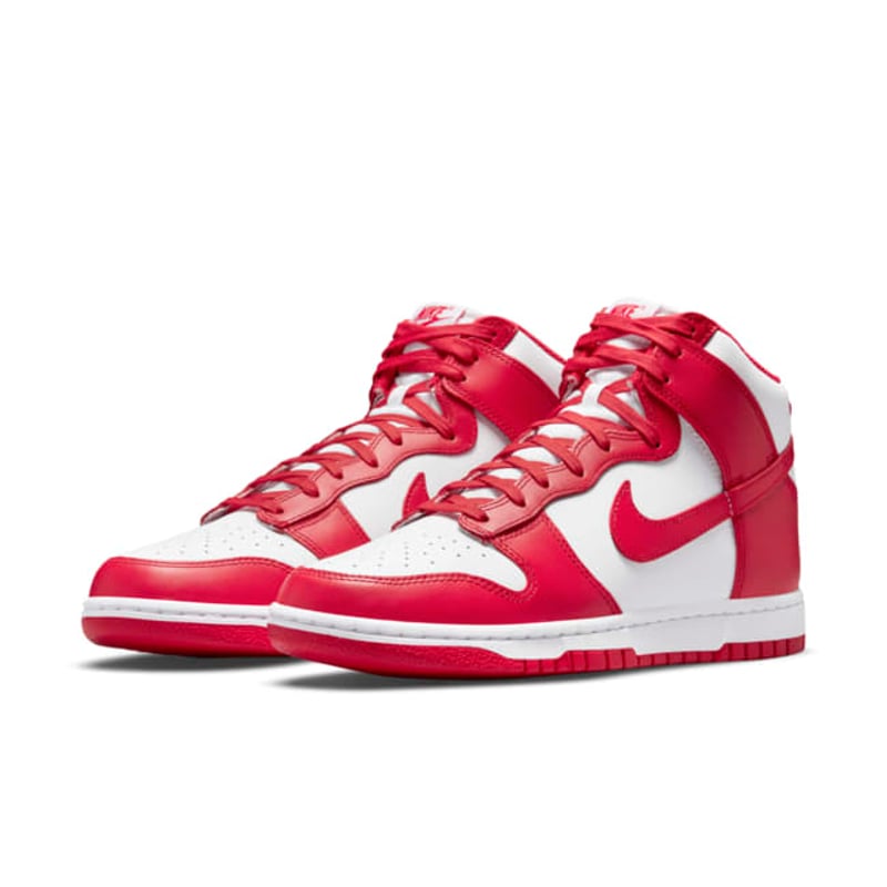 Nike Dunk High DD1399-106 05