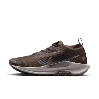 Nike Pegasus Trail 5 GORE-TEX FQ0912-012