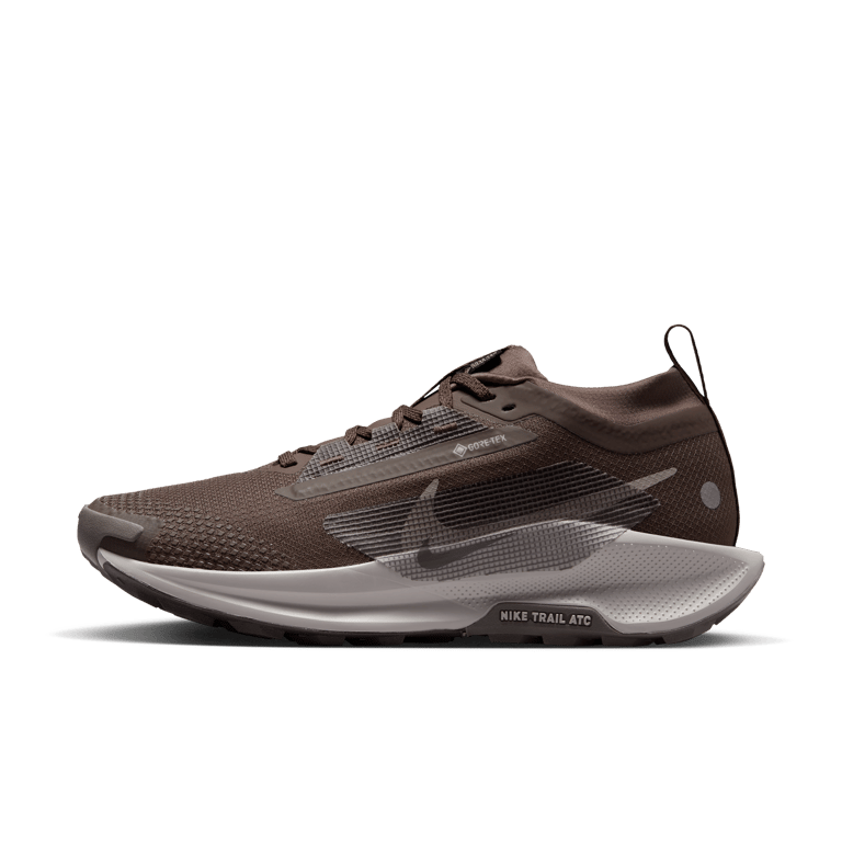 Nike Pegasus Trail 5 GORE-TEX