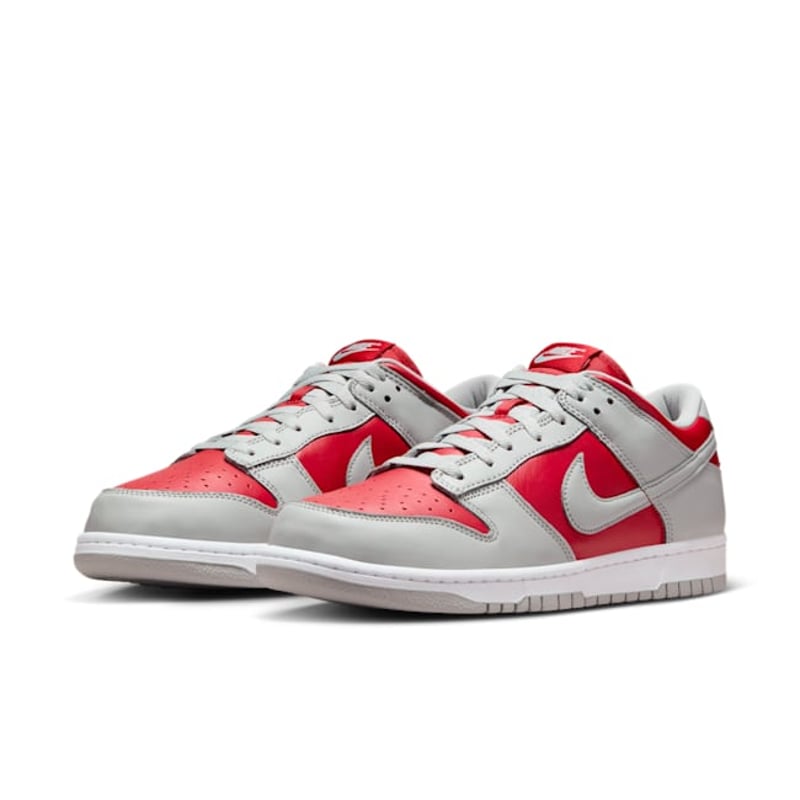 Nike Dunk Low CO.JP FQ6965-600 05