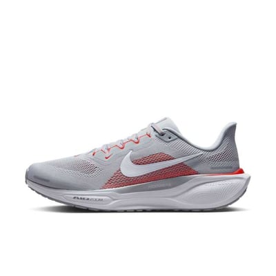 Nike Pegasus 41 FZ5105-001