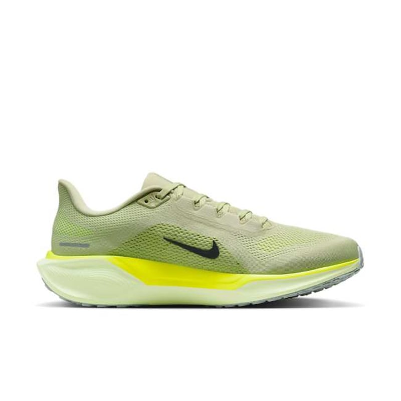 Nike Pegasus 41 FD2722-303 03