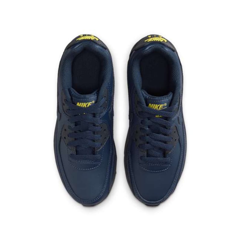 Nike Air Max 90 LTR CD6864-405 04