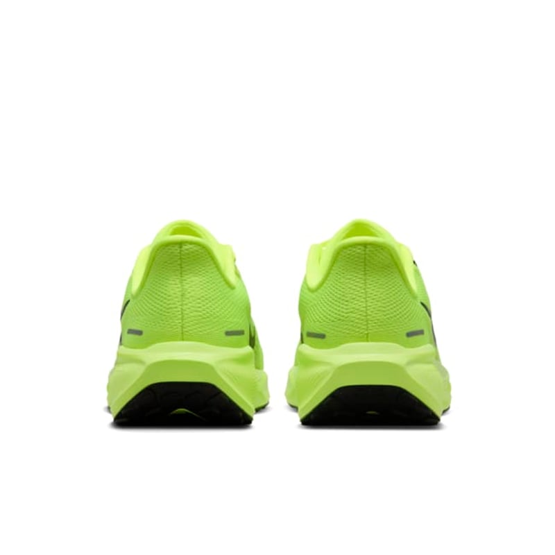 Nike Pegasus 41 FD2723-701 06