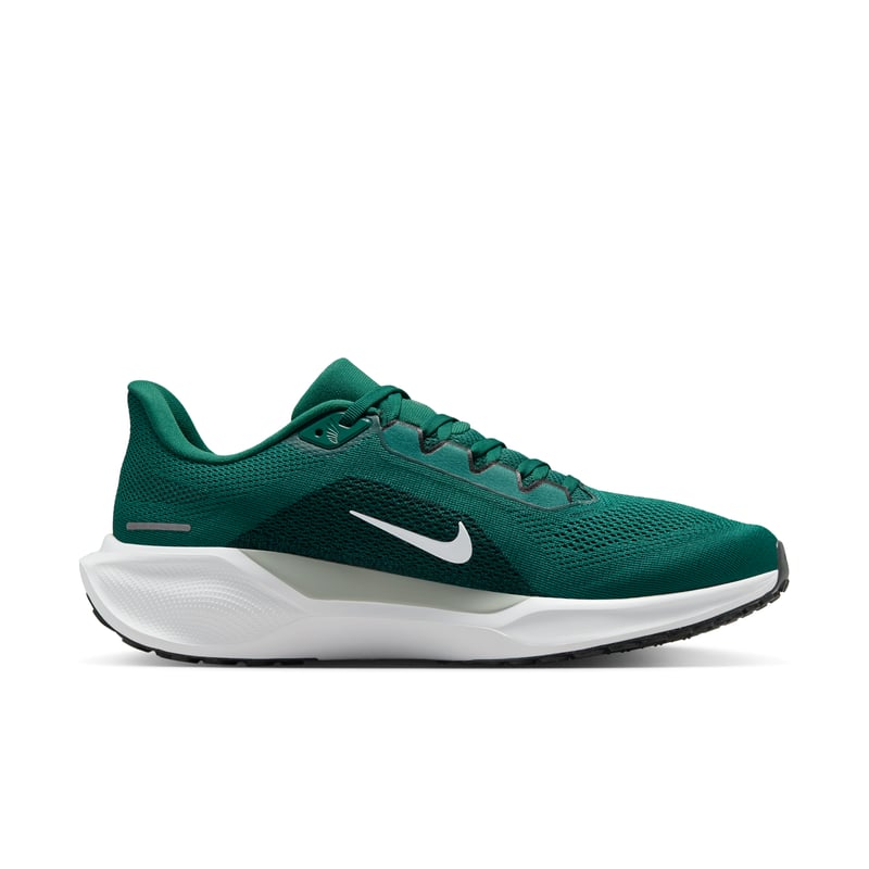 Nike Pegasus 41 x NFL IB3215-300 03
