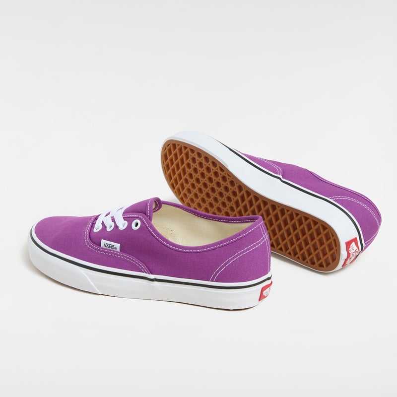Vans Authentic Color Theory VN000D6GE2T 03