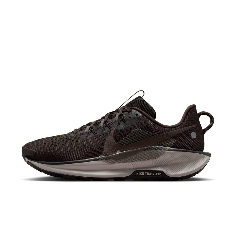 Nike Pegasus Trail 5 DV3864-202 01