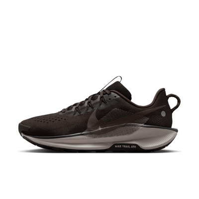 Nike Pegasus Trail 5 DV3864-202