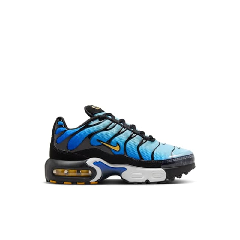 Nike Air Max Plus FZ0023-032 03