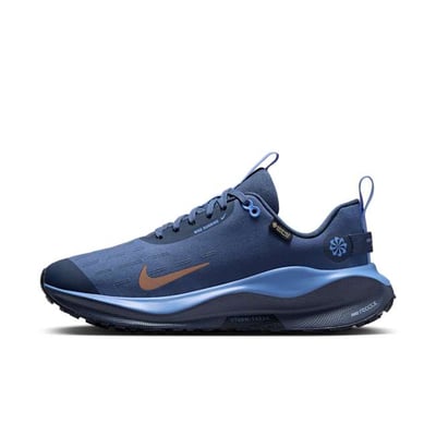 Nike InfinityRN 4 GORE-TEX HQ0264-401