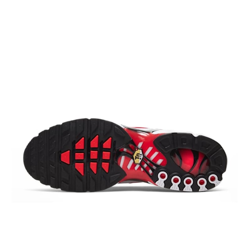 Nike Air Max Plus CW6019-001 02