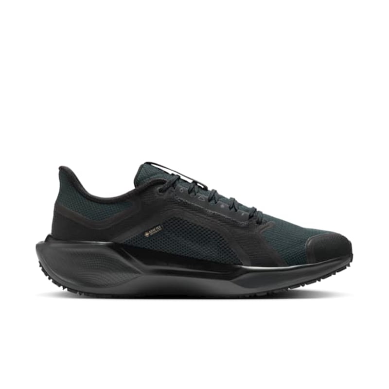 Nike Pegasus 41 GORE-TEX FQ1356-001 03