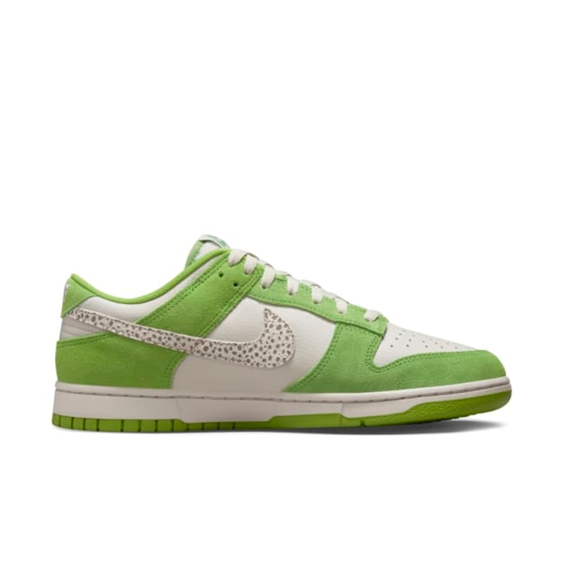 Nike Dunk Low DR0156-300 03