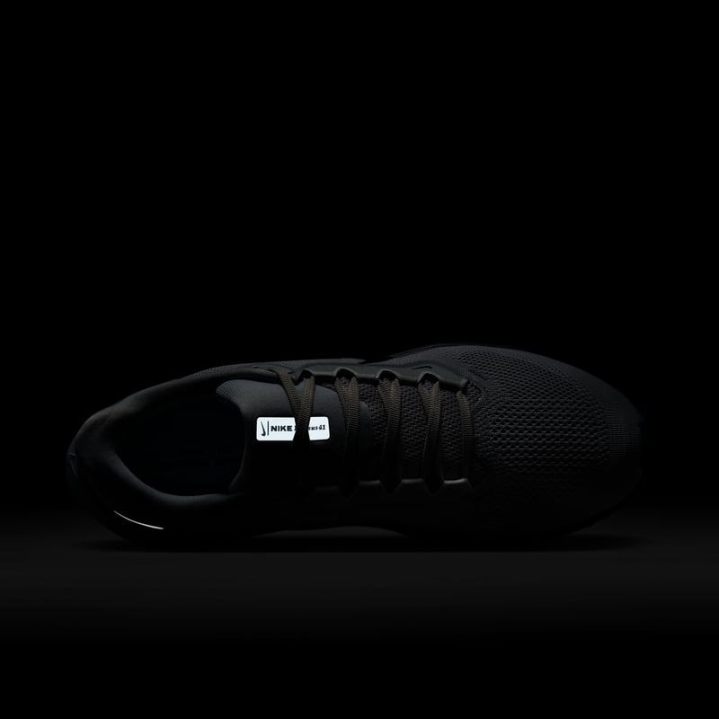 Nike Pegasus 41 FD2722-015 09