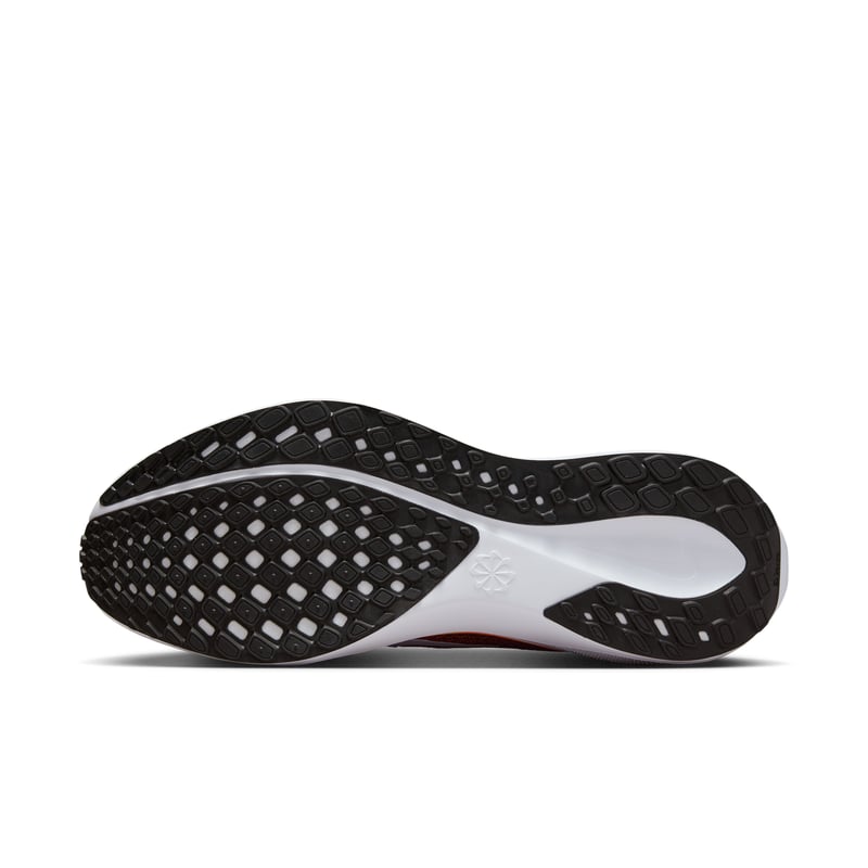 Nike Pegasus 41 FZ5136-002 02