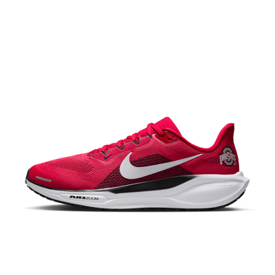 Nike Pegasus 41 IB3254-600