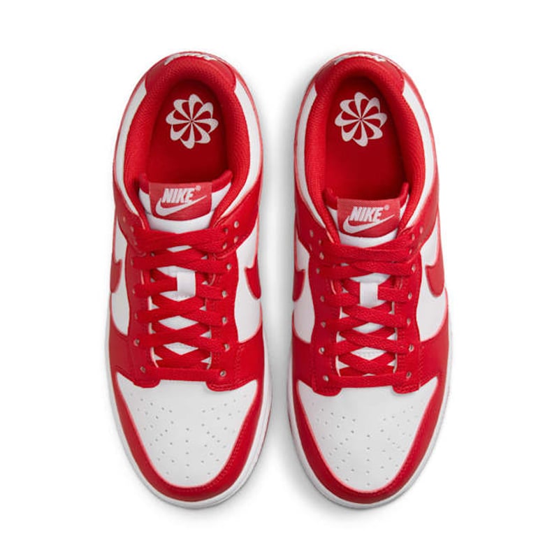 Nike Dunk Low Next Nature DD1873-116 04