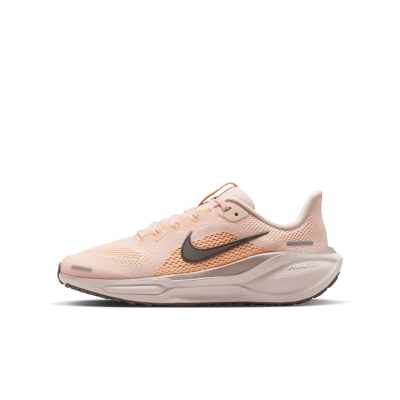 Nike Pegasus 41 FN5041-803 01