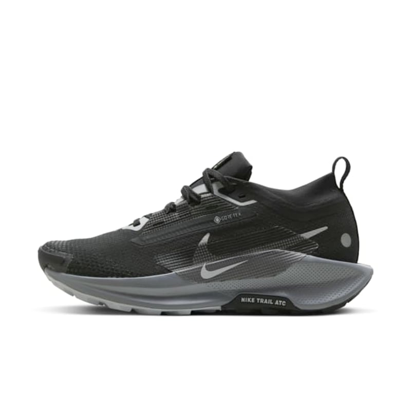 Nike Pegasus Trail 5 GORE-TEX FQ0912-001 01