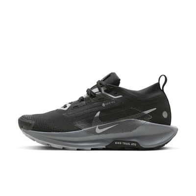 Nike Pegasus Trail 5 GORE-TEX FQ0912-001