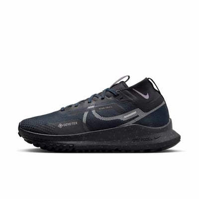 Nike Pegasus Trail 4 GORE-TEX FZ4343-400