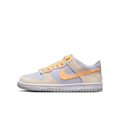 Nike Dunk Low FB9109-100