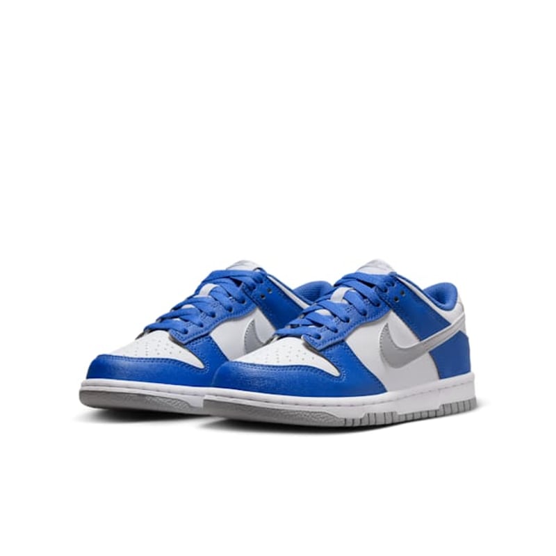 Nike Dunk Low HV6363-400 05
