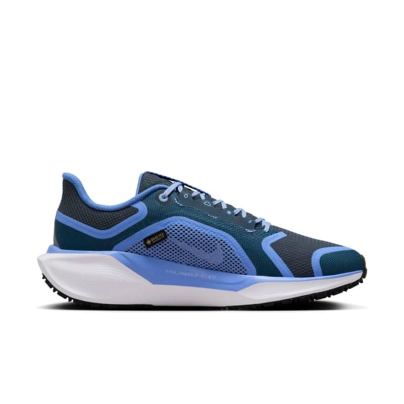 Nike Pegasus 41 GORE-TEX FQ1357-400 03