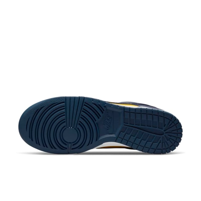 Nike Dunk Low DD1391-700 02