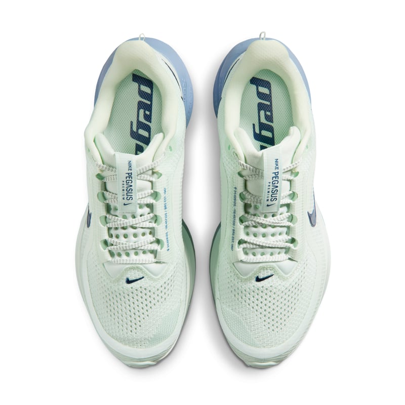 Nike Pegasus Premium HQ2593-301 04