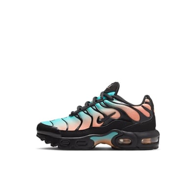 Nike Air Max Plus FZ0023-037