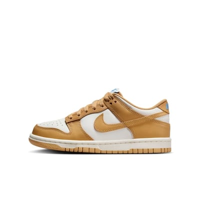 Nike Dunk Low FB9109-700