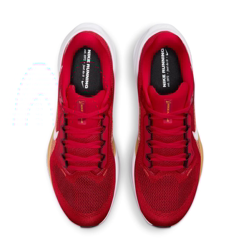 Nike Pegasus 41 x NFL IB3186-600 04
