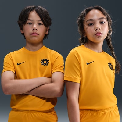 Nike Erling Haaland Academy Dri-FIT HV0229-739