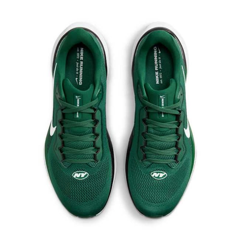 Nike Pegasus 41 x NFL FZ5089-300 04