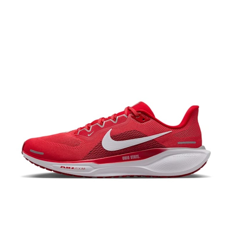 Nike Pegasus 41 FZ5135-600 01