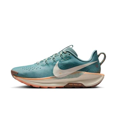 Nike Pegasus Trail 5 DV3865-010