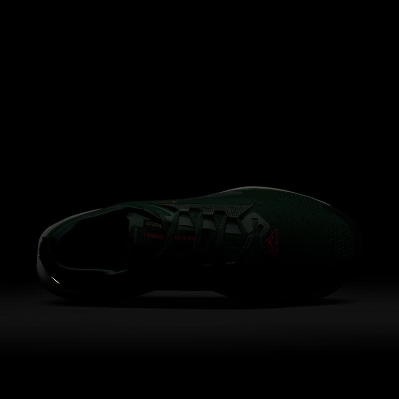Nike Pegasus Trail 5 GORE-TEX FQ0908-301 09