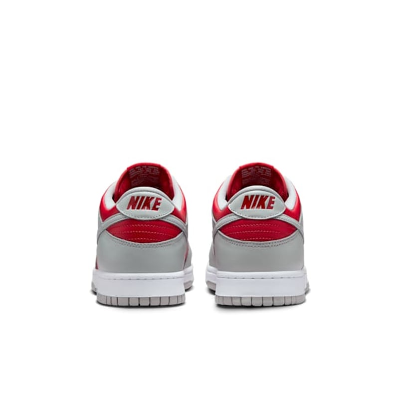 Nike Dunk Low CO.JP FQ6965-600 06
