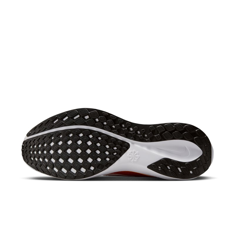 Nike Pegasus 41 x NFL IB3209-600 02