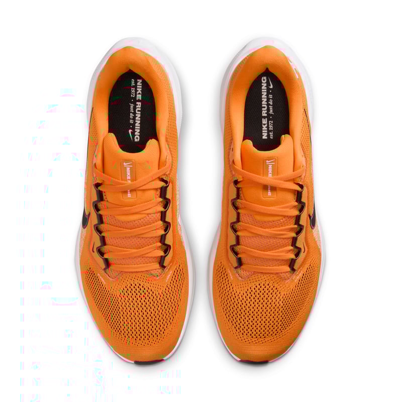 Nike Pegasus 41 IB3253-800 04