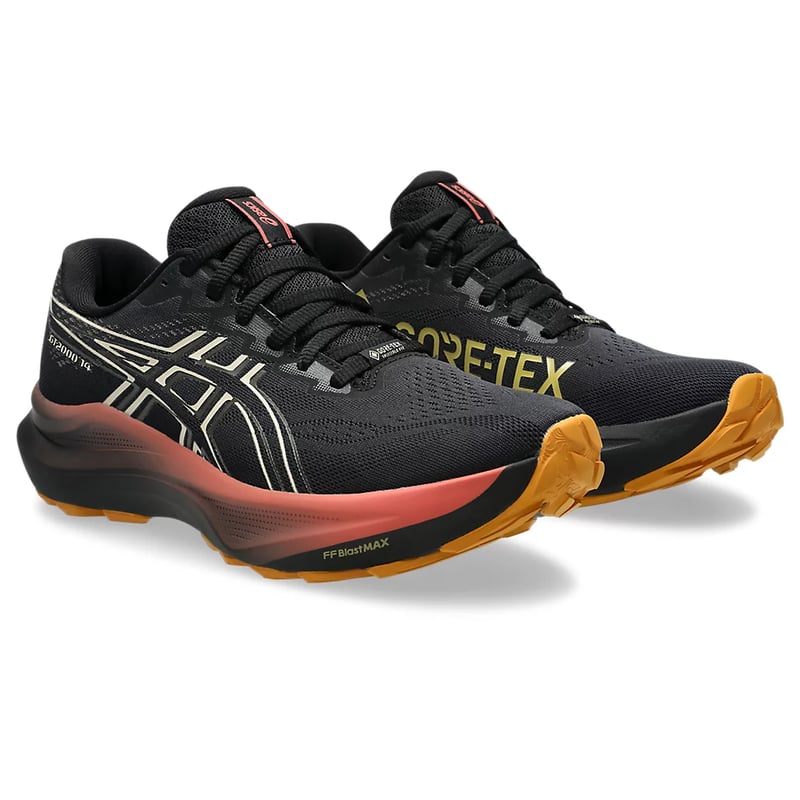 ASICS GT-2000 14 GORE-TEX 1012B844-001 02