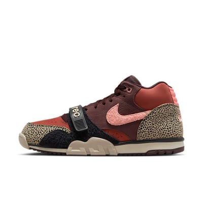 Nike SB Air Trainer 1 x Arts And Rec IF0501-200