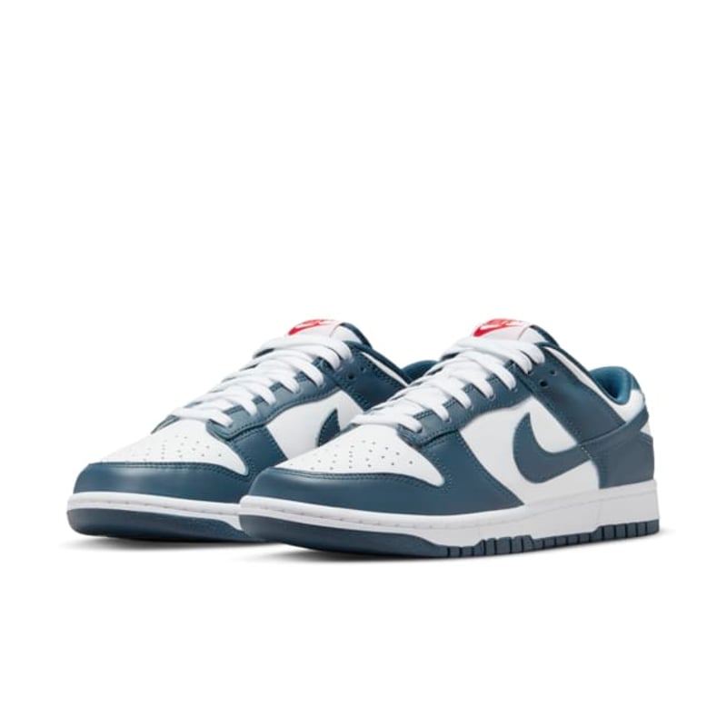Nike Dunk Low DD1391-400 05