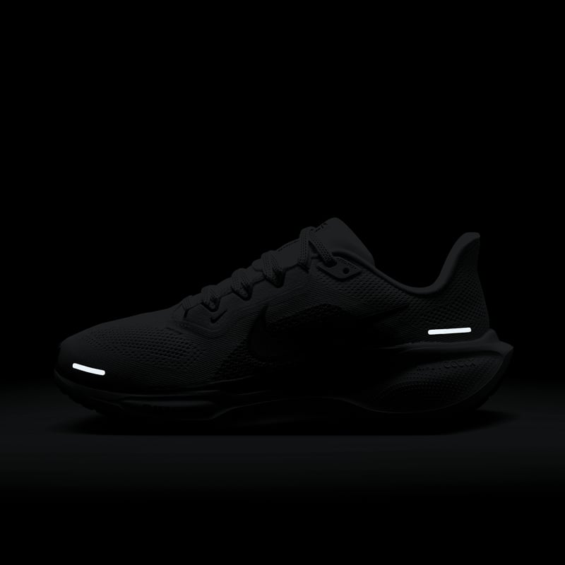 Nike Pegasus 41 FD2723-006 11