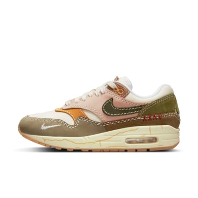 Nike Air Max 1 Premium DQ8656-133