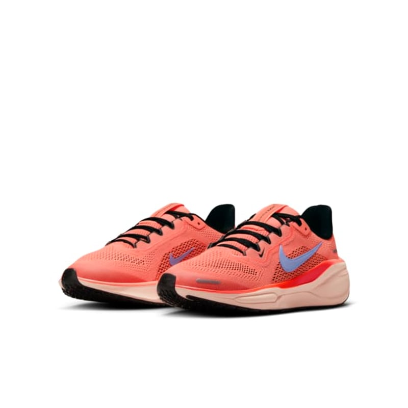 Nike Pegasus 41 FN5041-600 05