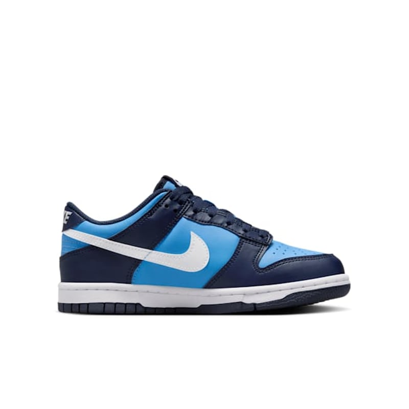 Nike Dunk Low HF0031-400 03