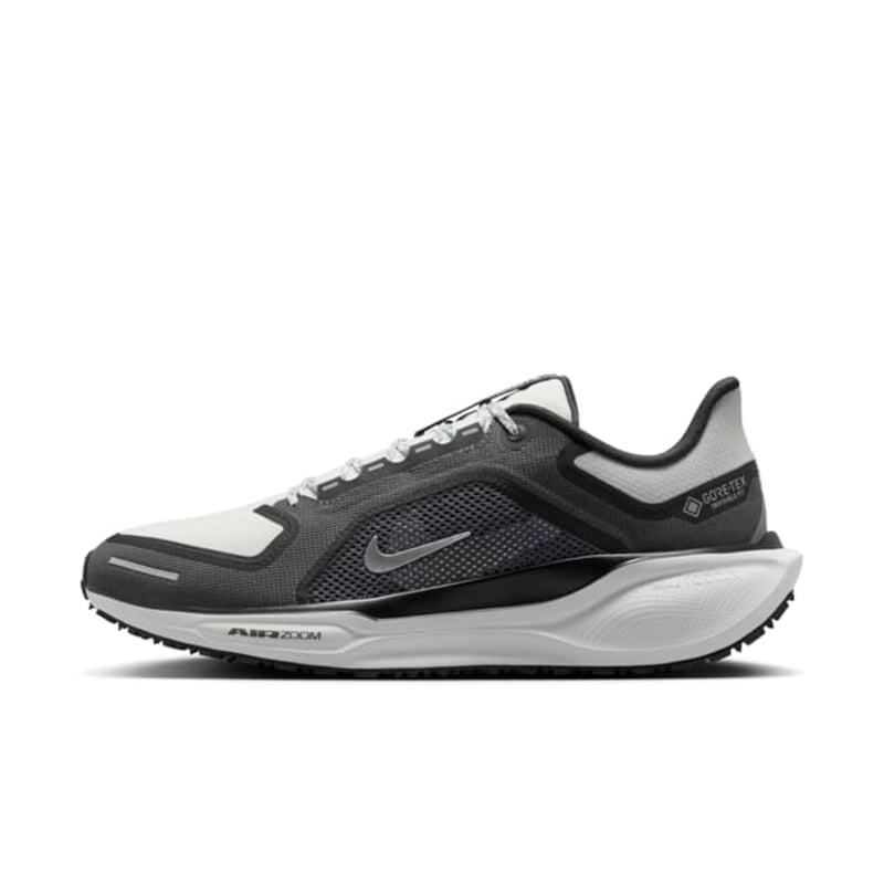 Nike Pegasus 41 GORE-TEX FQ1356-002 01